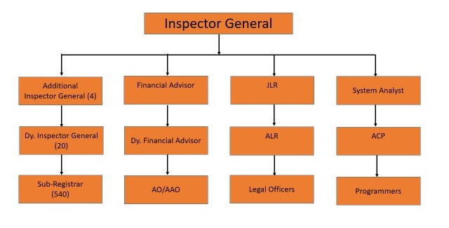 Organisational Chart